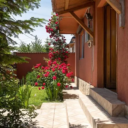 Marco Villa *