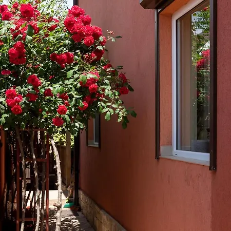 Villa Marco Eforie Nord